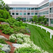 corporate-landscape-design.jpg